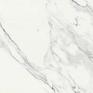 Timeless Calacatta Nat 30x60 Ret
