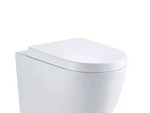 Cubico Replacement Oracle Seat Only For Btw & Wall Hung (129) (12728)